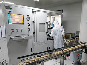 Kapasiti Pengeluaran